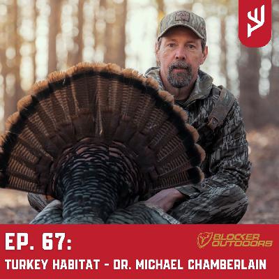 Ep. 67: Turkey Habitat - Dr. Michael Chamberlain Ep. 67: Turkey Habitat - Dr. Michael Chamberlain