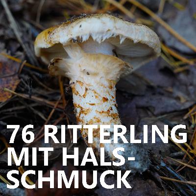 #76 Ritterling mit Halsschmuck