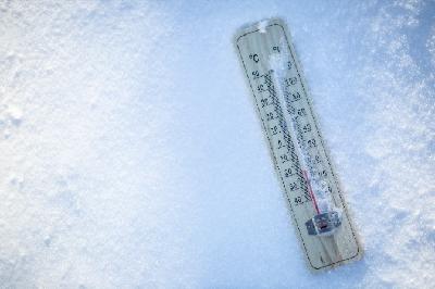 'Fa un sol que esquerda el cap dels ases' o 'Fa un fred que clasca la closca': Quines maneres tenim en català de dir que ha arribat el fred?