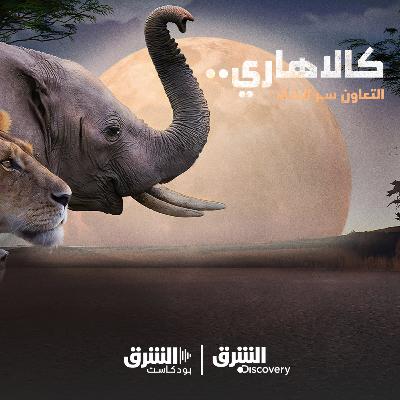 كالاهاري | شراكة غير متوقعة كالاهاري | شراكة غير متوقعة