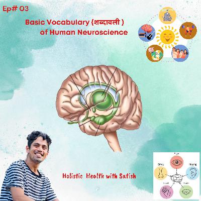 Episode 03: Basic Vocabulary (शब्दावली ) of Human Neuroscience I Satish Jaiswal