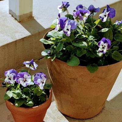 心の虚しさは、モノでは埋まらないワケ。 心の虚しさは、モノでは埋まらないワケ。