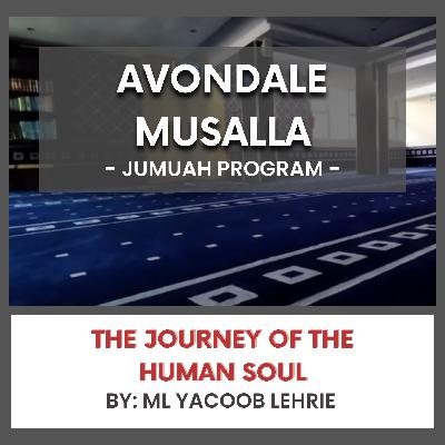 The Journey of the Human Soul by Ml Yacoob Lehrie