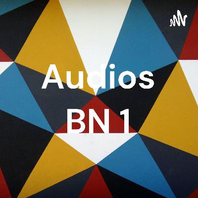 Audios de BN