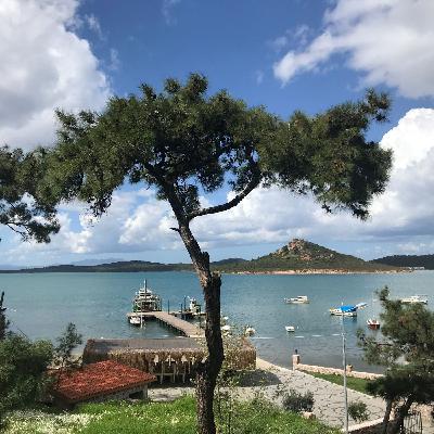 Ayvalık: Çamlarla Deniz Arasında Bir Nostalji