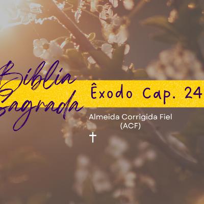 Bíblia Sagrada: Êxodo Cap. 24