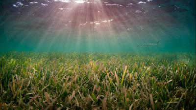 Fundación Moeve Recuperación Litoral La Línea Fundación Moeve Recuperación Litoral La Línea