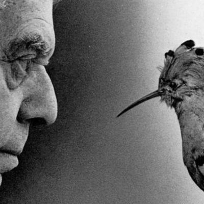 Spesso il male di vivere ho incontrato