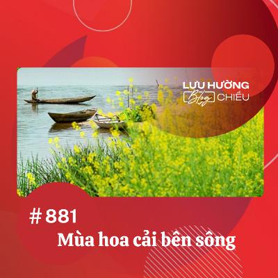 Mùa hoa cải bên sông | Lưu Hường blog chiều | Đài Hà Nội