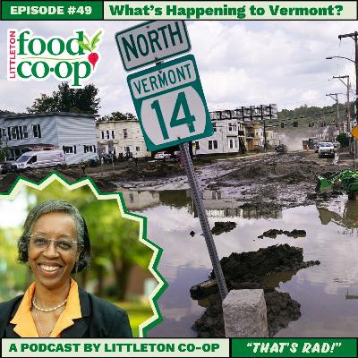 Episode XLIX: What's Happening to Vermont? Episode XLIX: What's Happening to Vermont?