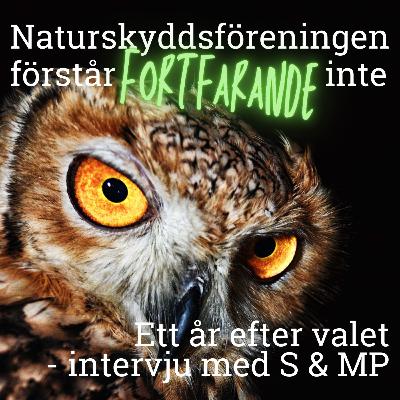 Ett år efter valet - uppföljning med S och MP Ett år efter valet - uppföljning med S och MP