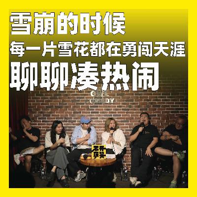 212.雪崩的时候每一片雪花都在勇闯天涯：聊聊凑热闹