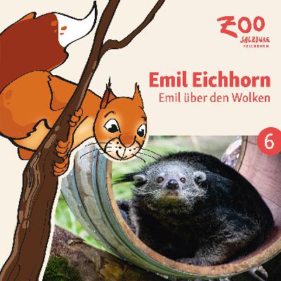 06 - Emil über den Wolken