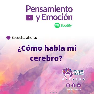 ¿Cómo habla mi cerebro?
