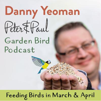 Peter & Paul British Garden Bird Podcast - Feeding Garden Birds in March & April Special