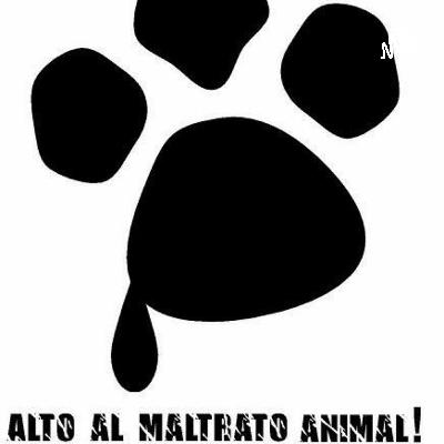 Maltrato animal
