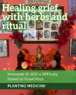 Healing Grief with Herbs and Ritual