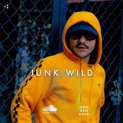 Junk Wild - Dbri Podcast 083 Junk Wild - Dbri Podcast 083