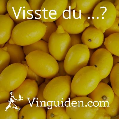 Kan ett vin smaka citron?