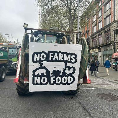 Dundalk Protester Tells LMFM "We Won't Stand Down Until We Get What We Are Looking For" - 09/04/2026