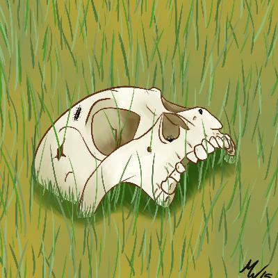 Episode 2 - Bones Don't Lie