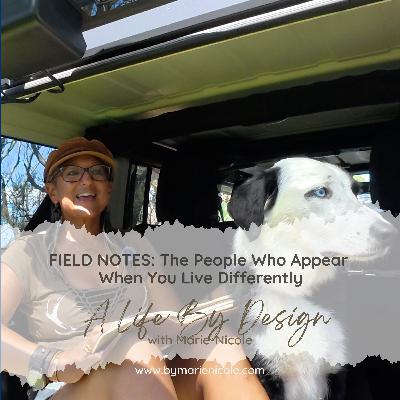 Field Notes: The People Who Appear When You Live Differently Field Notes: The People Who Appear When You Live Differently