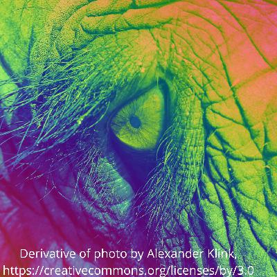 Celebrating Sacred Animals: Elephant ESP and Supernatural Sea Creatures