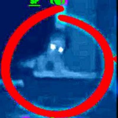 Alien Abductions and Terrifying Alien Encounters True Stories - UFO Video Compilation