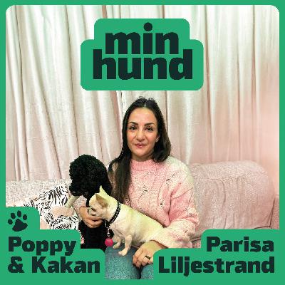 TRAILER – Parisa Liljestrand, Kakan och Poppy