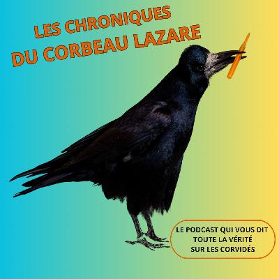 Corbeaux, corneilles, pies : mal-aimés méconnus