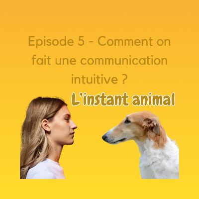 # 5 Devenir communicante animalière : quand le cœur s’ouvre, les animaux répondent !