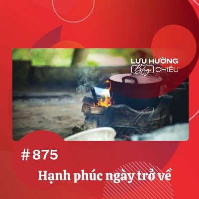 Hạnh phúc ngày trở về | Lưu Hường blog chiều | Đài Hà Nội