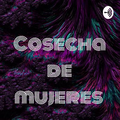 Análisis del libro Feminismo para principiantes