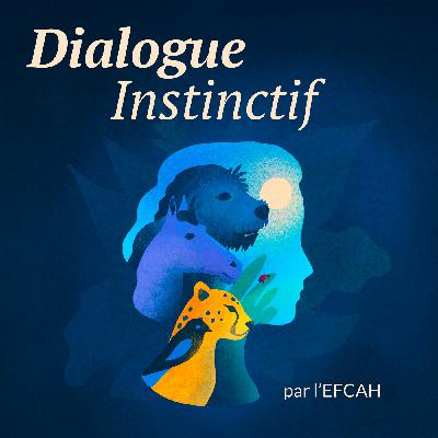 N°3 : Ecole EFCAH : Le métier de communicatrice animalière N°3 : Ecole EFCAH : Le métier de communicatrice animalière