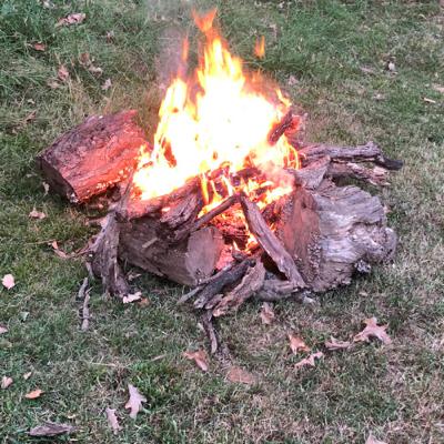 Fire in the Woods