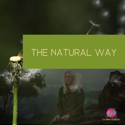 The Wisdom Path Podcast - Inner Truth You Can Trust - Episode 1