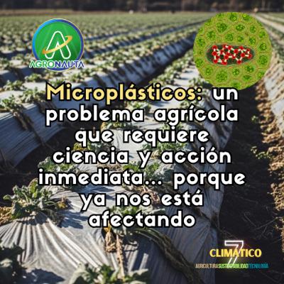 Microplásticos: un problema agrícola que requiere ciencia y acción inmediata… porque ya nos está afectando