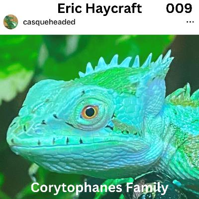 Eric Haycraft @casqueheaded 009