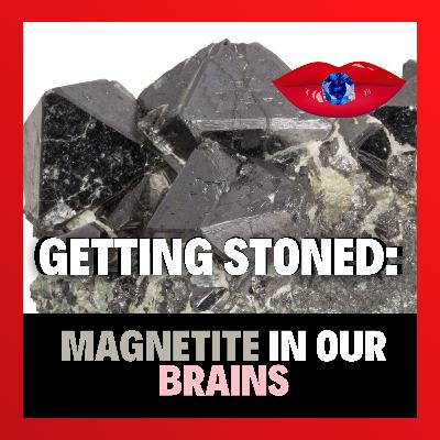 Getting Stoned: Magnetite In Our Brains