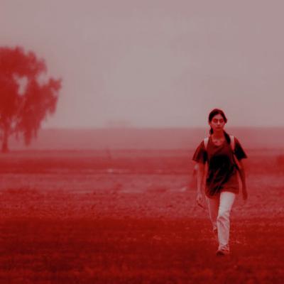 דני רוזנברג: "המצלמה מגנה עליך מהמציאות, העשייה עושה סדר בתוך הכאוס"