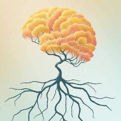 Getting to the root of Alzheimer's