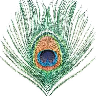 Haydn Bendall on producing XTC’s Apple Venus