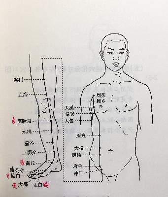 足太阴脾经