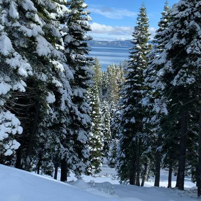 (Deep House) - January 2020 (Tahoe Sessions #1) @ericseverson