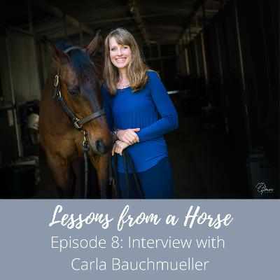 Interview with Carla Bauchmueller