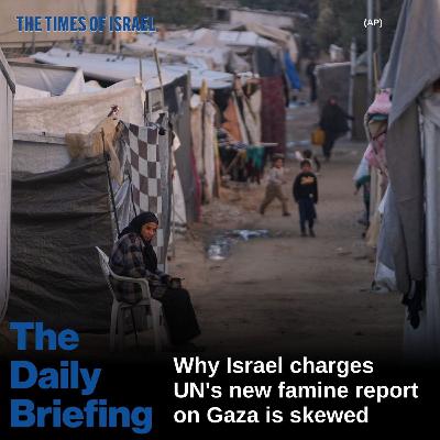 Day 810 - Why Israel charges UN's new famine report on Gaza is skewed