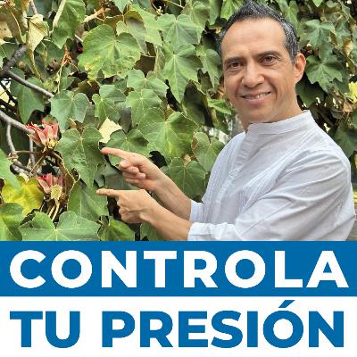 Cómo puedes controlar tu presión alta con Flor de Manita