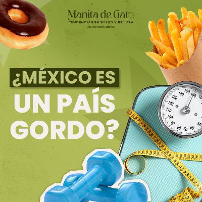 La obesidad en México es una epidemia: esto opina un experto La obesidad en México es una epidemia: esto opina un experto
