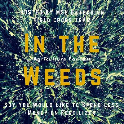 In the Weeds: Soy You Would Like to Spend Less Money on Fertilizer