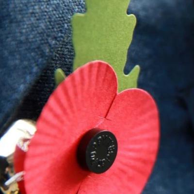 41.Remembrance Day: perché a novembre Londra si riempie di papaveri